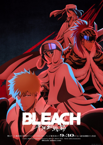 Bleach: Sennen Kessen-hen – Ketsubetsu-tan الحلقة 13 والاخيرة